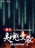 灵魂侵袭by