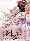穿越之侧妃 靖元