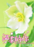 温柔的你粤语