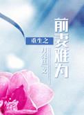 重生前妻不好追