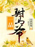 一品驸马爷短剧免费观看