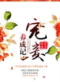 宠妾养成记好看吗?