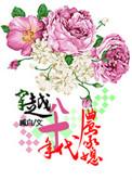 聚合中文网 穿越八十年代农家媳