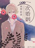 重生之再婚一次笔趣阁