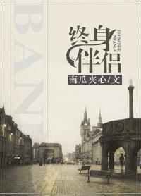 终身伴侣全文阅读