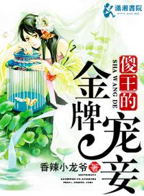 傻王的一品王妃