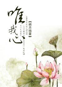 唯我心番外陆湛结局
