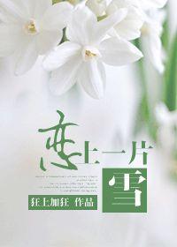 恋上一片雪作者狂上加狂