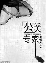 公关专家TXT