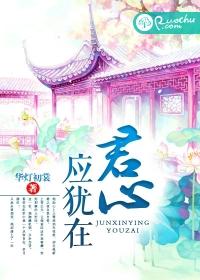 君心应犹在大结局