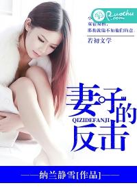 妻子的反击韩国电影在线观看全集