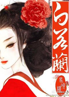 贵女白若兰大结局