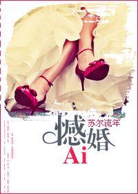 憾婚 苏尔流年