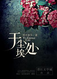 于尘埃处广播剧