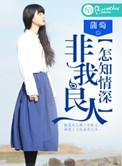 你非我良人怎知我情深的意思