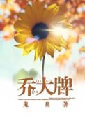 乔大牌txt