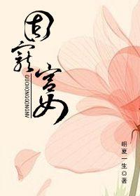 固宠宫女类似