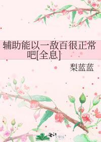 辅助可以全出辅助装吗