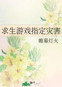全星际都在等我