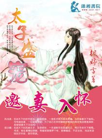 太子宠妻无度