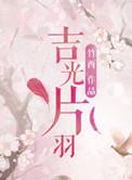 吉光片羽是成语吗