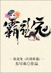 霸龙宠东尽欢txt百度讲什么