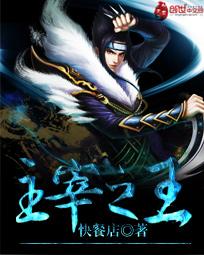 主宰之王TXT八零电子书