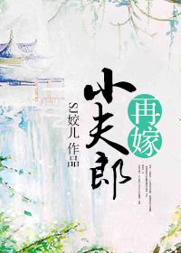 再嫁小夫郎作者SJ姣儿