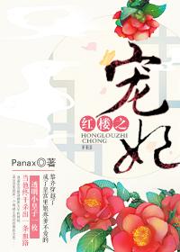 红楼宠妻