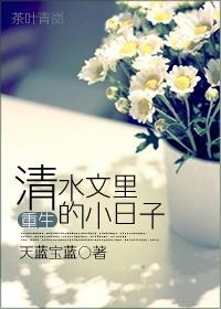 重生清水文里的小日子天蓝宝蓝