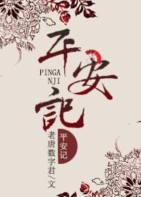平安记录仪使用说明