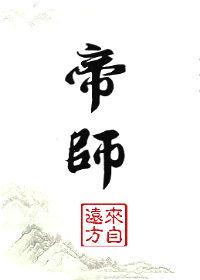帝师王婿