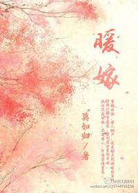 暖嫁txt全文