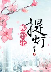 提灯映桃花29和43的图片