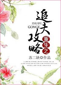 重生追夫之路