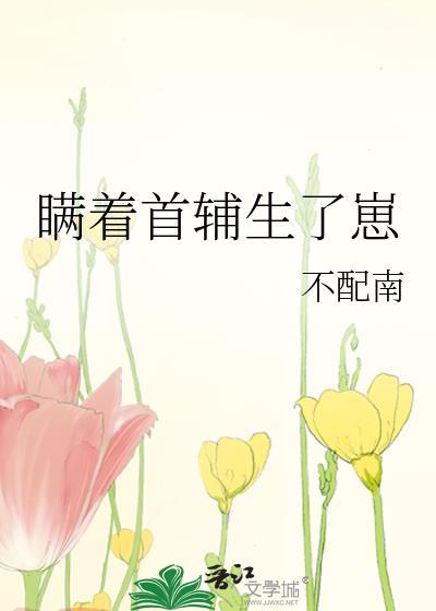 瞒着首辅生了崽阮珑玲免费阅读