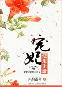 宠妃使用手册简介