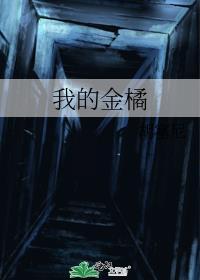 我的金桔歌词含义