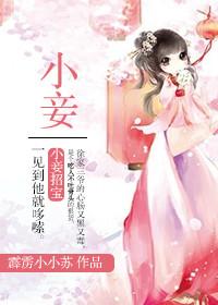 小妾霹雳小小苏