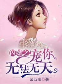 闪婚宠妻的所有