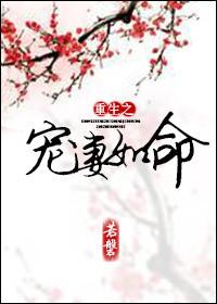 重生之宠妻如命算尽机关免费