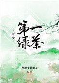 长安第一绿茶txt百度资源