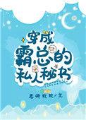 穿成霸总的私人秘书 作者晨星暮萤
