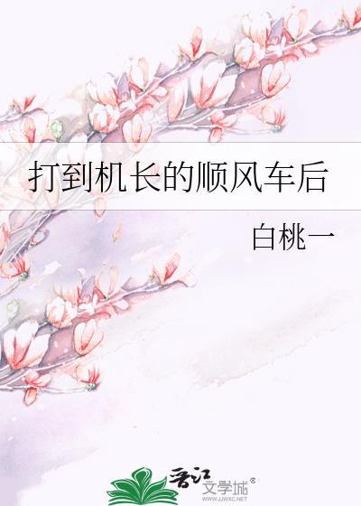顺风车司机迟到导致飞机误机