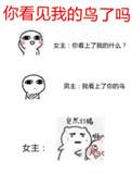 你看见我的鸟了吗 最新章节 无弹窗