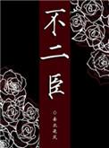 不二臣意迟迟内容