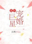 星际宠婚巨星作者沈青
