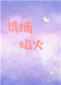 诱捕焰火晋江文学城