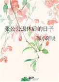 张公公退休后的日子免费阅读