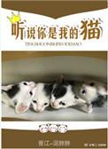 听说你是我的猫无防盗